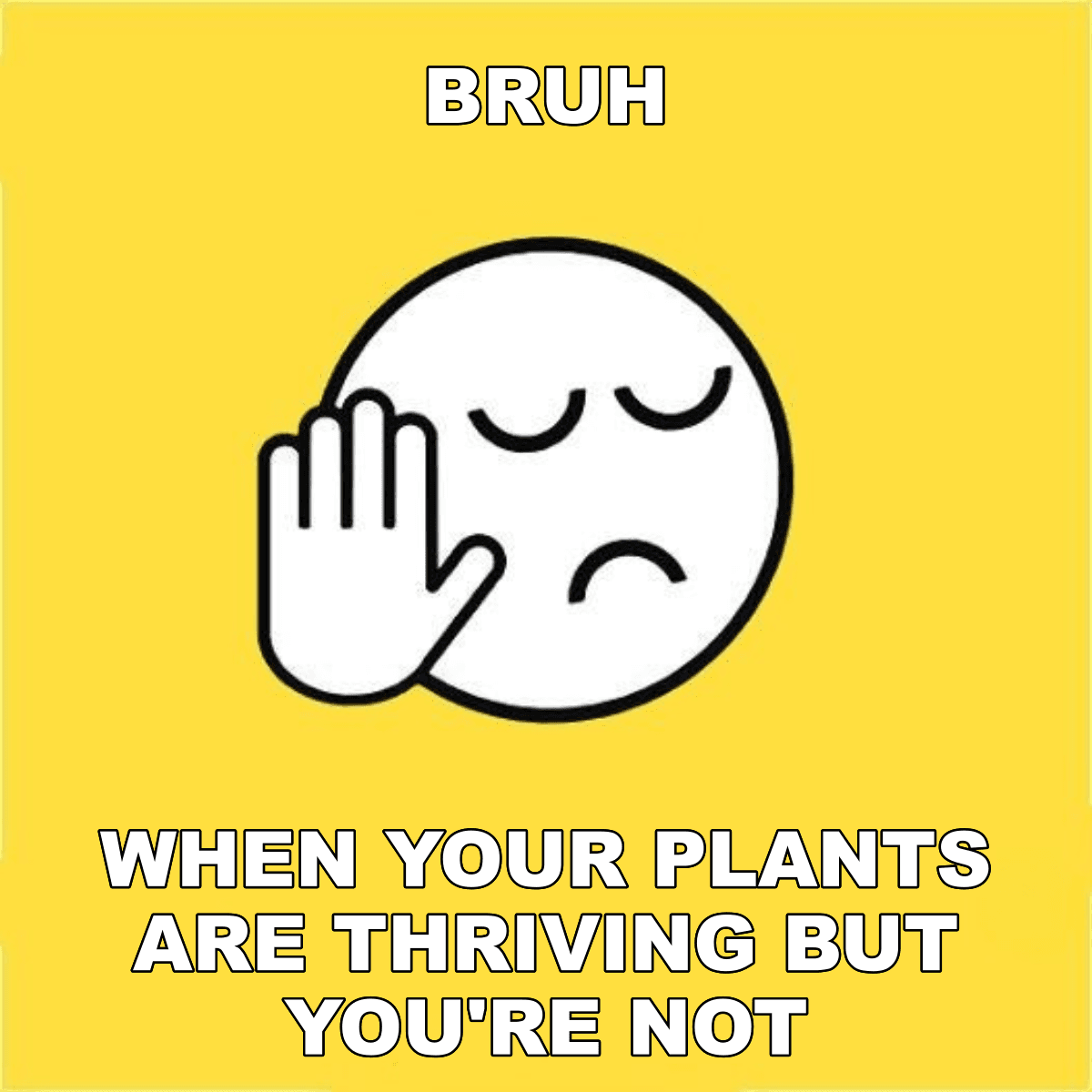 Bruh / When Your Plants Are Thriving But You're Not - BRUH 😐✋ when your plants are thriving but you're not